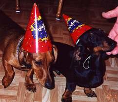 birthdayhats