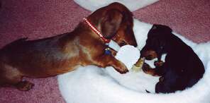 frank with Nancy in a bed