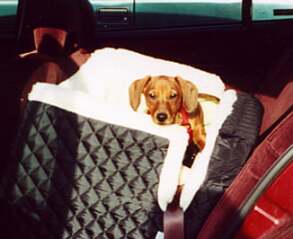 car bed and mom