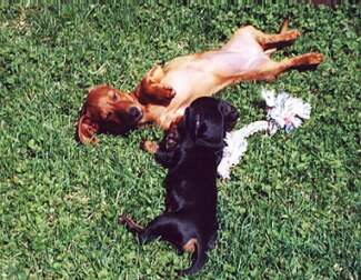 kids resting in the sunshine