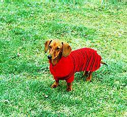n sweater